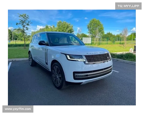 保持进口品质 奇瑞路虎揽胜极光实拍解析